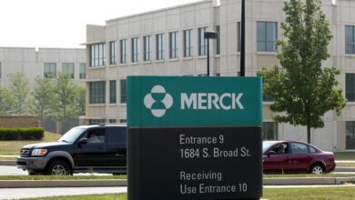 Merck’s inventory rallies in direction of a file after FDA OKs arterial-hypertension drug